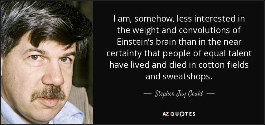 I am, somehow, less interested in the weight and convolutions of Einstein’s brain than in the near certainty that people of equal talent have lived and died in cotton fields and sweatshops. - Stephen Jay Gould