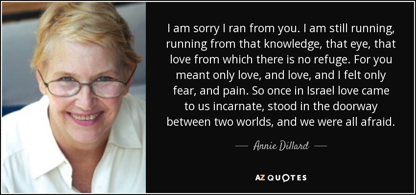 I am sorry I ran from you. I am still running, running from that knowledge, that eye, that love from which there is no refuge. For you meant only love, and love, and I felt only fear, and pain. So once in Israel love came to us incarnate, stood in the doorway between two worlds, and we were all afraid. - Annie Dillard