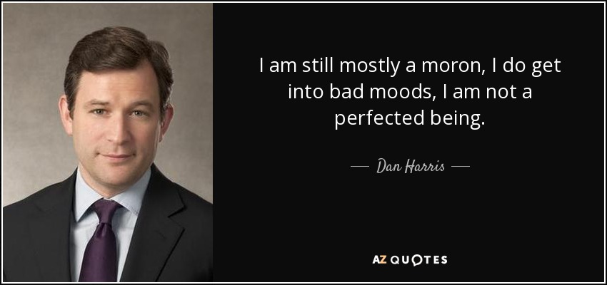 I am still mostly a moron, I do get into bad moods, I am not a perfected being. - Dan Harris