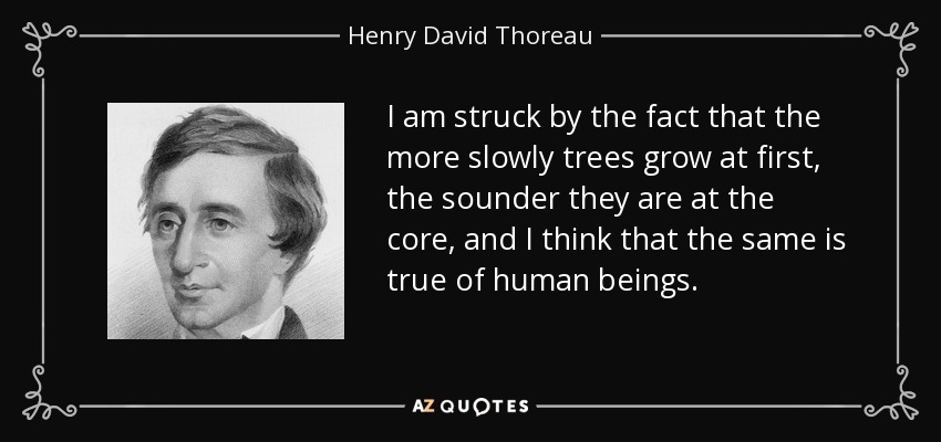 I am struck by the fact that the more slowly trees grow at first, the sounder they are at the core, and I think that the same is true of human beings. - Henry David Thoreau