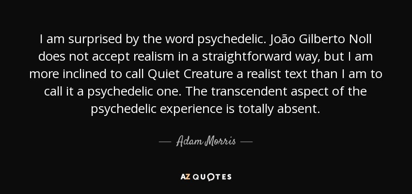 I am surprised by the word psychedelic. João Gilberto Noll does not accept realism in a straightforward way, but I am more inclined to call Quiet Creature a realist text than I am to call it a psychedelic one. The transcendent aspect of the psychedelic experience is totally absent. - Adam Morris
