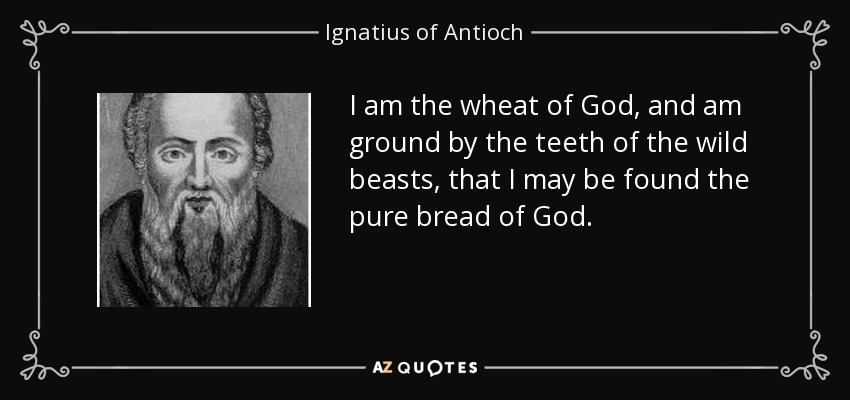 I am the wheat of God, and am ground by the teeth of the wild beasts, that I may be found the pure bread of God. - Ignatius of Antioch