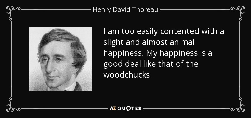 I am too easily contented with a slight and almost animal happiness. My happiness is a good deal like that of the woodchucks. - Henry David Thoreau
