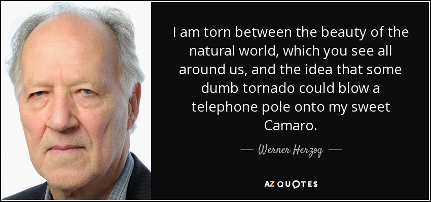 I am torn between the beauty of the natural world, which you see all around us, and the idea that some dumb tornado could blow a telephone pole onto my sweet Camaro. - Werner Herzog