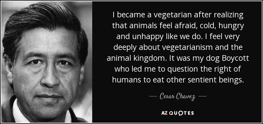 I became a vegetarian after realizing that animals feel afraid, cold, hungry and unhappy like we do. I feel very deeply about vegetarianism and the animal kingdom. It was my dog Boycott who led me to question the right of humans to eat other sentient beings. - Cesar Chavez