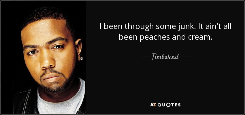 I been through some junk. It ain't all been peaches and cream. - Timbaland