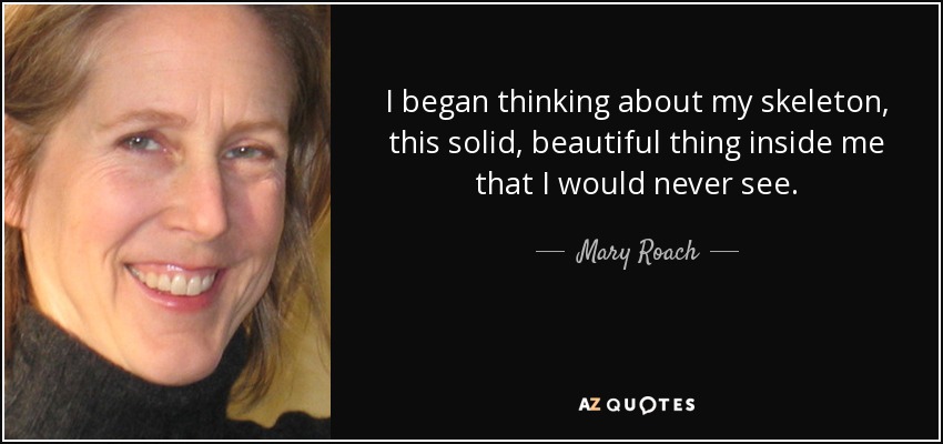 I began thinking about my skeleton, this solid, beautiful thing inside me that I would never see. - Mary Roach