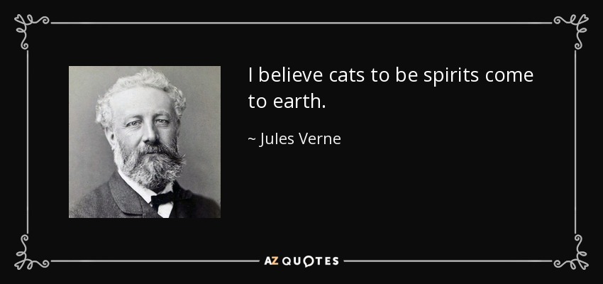 I believe cats to be spirits come to earth. - Jules Verne