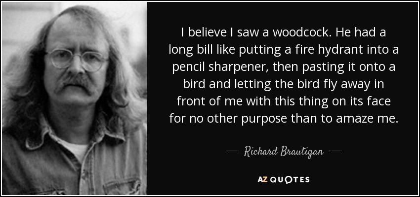 I believe I saw a woodcock. He had a long bill like putting a fire hydrant into a pencil sharpener, then pasting it onto a bird and letting the bird fly away in front of me with this thing on its face for no other purpose than to amaze me. - Richard Brautigan