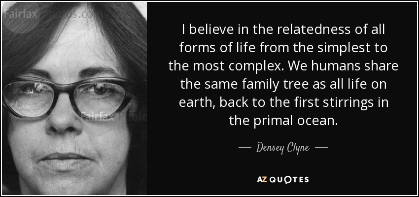 I believe in the relatedness of all forms of life from the simplest to the most complex. We humans share the same family tree as all life on earth, back to the first stirrings in the primal ocean. - Densey Clyne