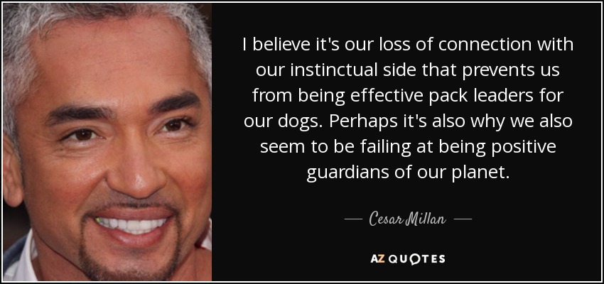 I believe it's our loss of connection with our instinctual side that prevents us from being effective pack leaders for our dogs. Perhaps it's also why we also seem to be failing at being positive guardians of our planet. - Cesar Millan