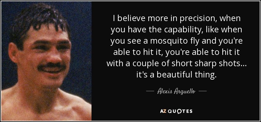 I believe more in precision, when you have the capability, like when you see a mosquito fly and you're able to hit it, you're able to hit it with a couple of short sharp shots... it's a beautiful thing. - Alexis Arguello