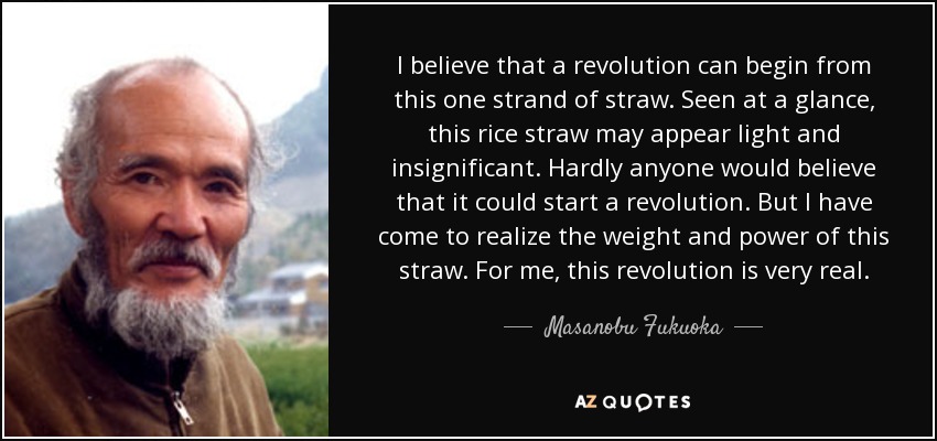 I believe that a revolution can begin from this one strand of straw. Seen at a glance, this rice straw may appear light and insignificant. Hardly anyone would believe that it could start a revolution. But I have come to realize the weight and power of this straw. For me, this revolution is very real. - Masanobu Fukuoka
