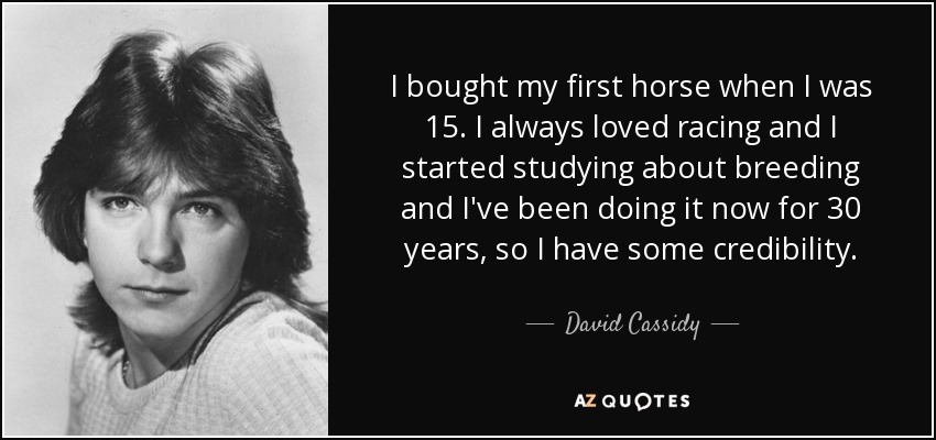 I bought my first horse when I was 15. I always loved racing and I started studying about breeding and I've been doing it now for 30 years, so I have some credibility. - David Cassidy