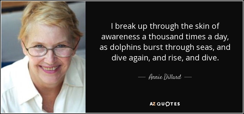 I break up through the skin of awareness a thousand times a day, as dolphins burst through seas, and dive again, and rise, and dive. - Annie Dillard