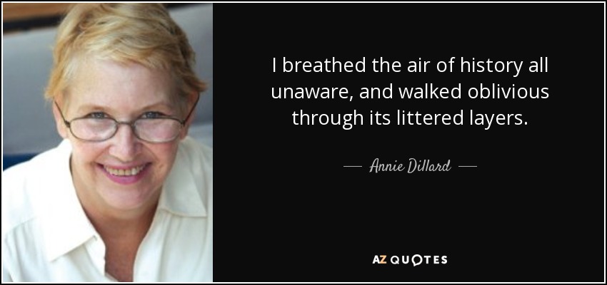 I breathed the air of history all unaware, and walked oblivious through its littered layers. - Annie Dillard