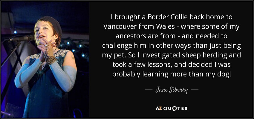 I brought a Border Collie back home to Vancouver from Wales - where some of my ancestors are from - and needed to challenge him in other ways than just being my pet. So I investigated sheep herding and took a few lessons, and decided I was probably learning more than my dog! - Jane Siberry I brought a Border Collie back home to Vancouver from Wales - where some of my ancestors are from - and needed to challenge him in other ways than just being my pet. So I investigated sheep herding and took a few lessons, and decided I was probably learning more than my dog! - Jane Siberry