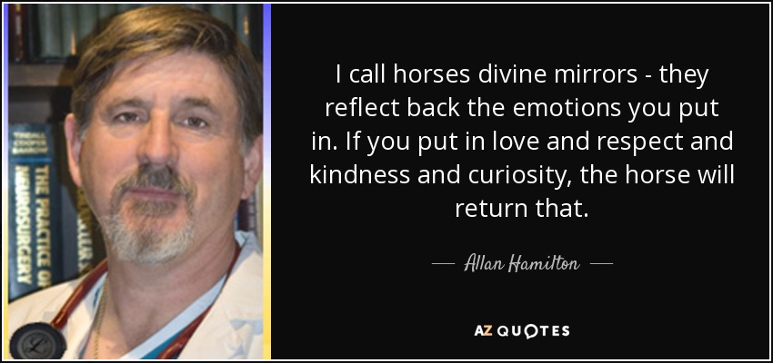 I call horses divine mirrors - they reflect back the emotions you put in. If you put in love and respect and kindness and curiosity, the horse will return that. - Allan Hamilton
