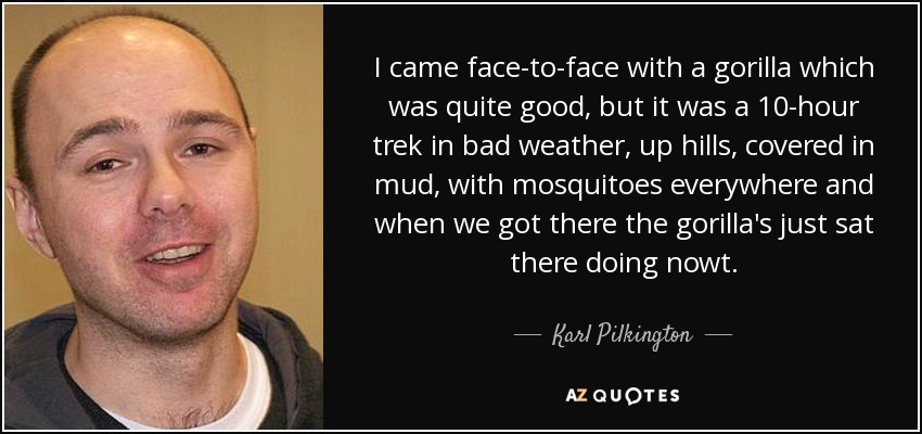 I came face-to-face with a gorilla which was quite good, but it was a 10-hour trek in bad weather, up hills, covered in mud, with mosquitoes everywhere and when we got there the gorilla's just sat there doing nowt. - Karl Pilkington