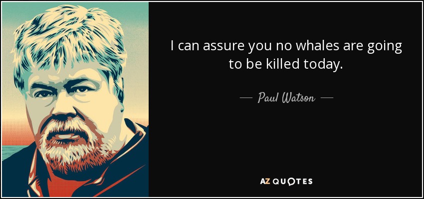 I can assure you no whales are going to be killed today. - Paul Watson