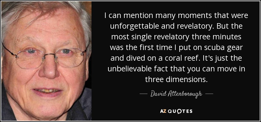 I can mention many moments that were unforgettable and revelatory. But the most single revelatory three minutes was the first time I put on scuba gear and dived on a coral reef. It's just the unbelievable fact that you can move in three dimensions. - David Attenborough