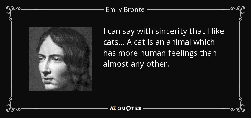 I can say with sincerity that I like cats... A cat is an animal which has more human feelings than almost any other. - Emily Bronte