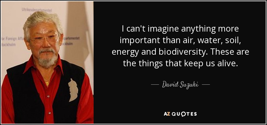I can't imagine anything more important than air, water, soil, energy and biodiversity. These are the things that keep us alive. - David Suzuki