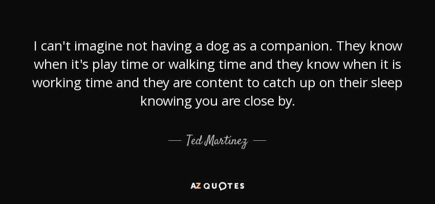 I can't imagine not having a dog as a companion. They know when it's play time or walking time and they know when it is working time and they are content to catch up on their sleep knowing you are close by. - Ted Martinez