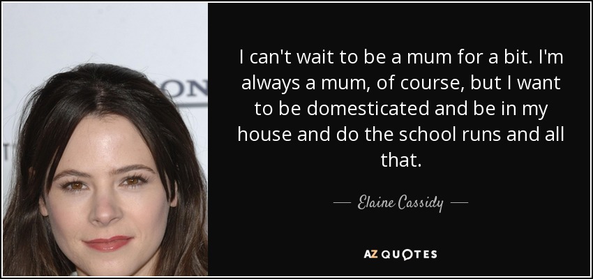 I can't wait to be a mum for a bit. I'm always a mum, of course, but I want to be domesticated and be in my house and do the school runs and all that. - Elaine Cassidy