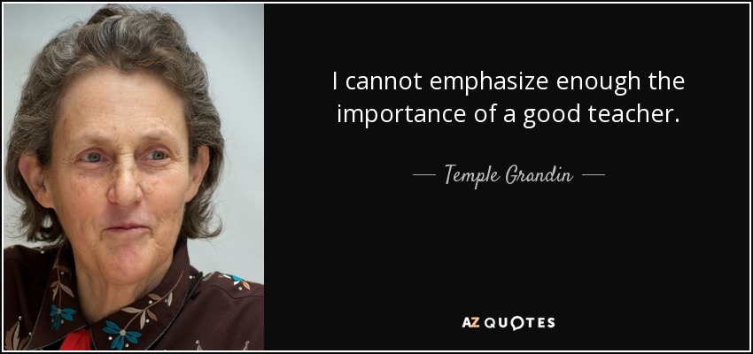 I cannot emphasize enough the importance of a good teacher. - Temple Grandin