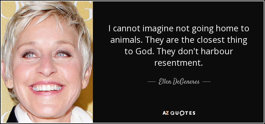 I cannot imagine not going home to animals. They are the closest thing to God. They don't harbour resentment. - Ellen DeGeneres
