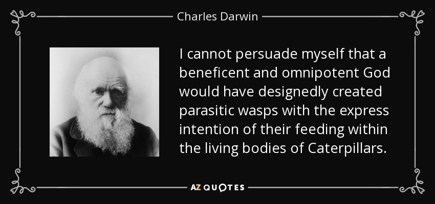 I cannot persuade myself that a beneficent and omnipotent God would have designedly created parasitic wasps with the express intention of their feeding within the living bodies of Caterpillars. - Charles Darwin
