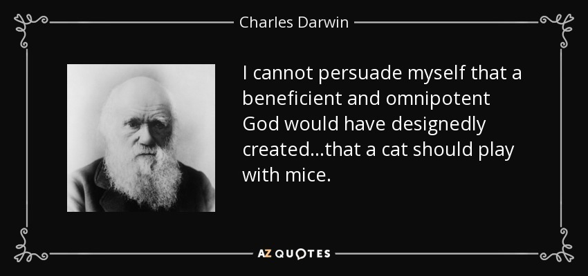 I cannot persuade myself that a beneficient and omnipotent God would have designedly created...that a cat should play with mice. - Charles Darwin