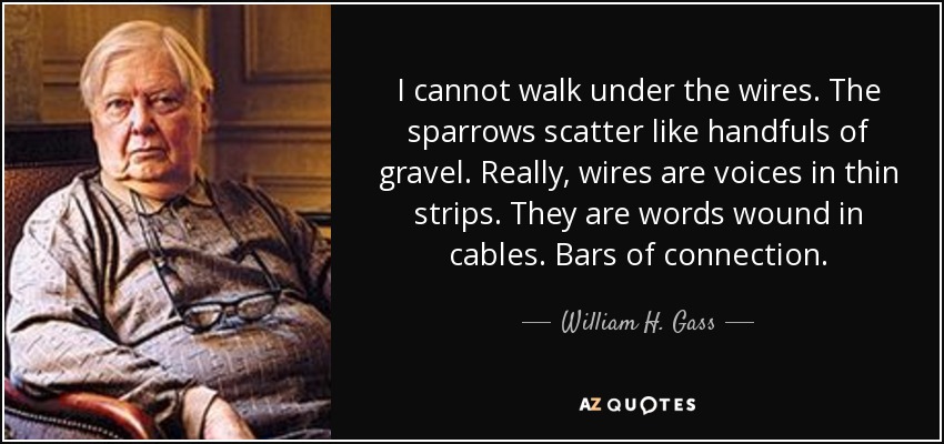 I cannot walk under the wires. The sparrows scatter like handfuls of gravel. Really, wires are voices in thin strips. They are words wound in cables. Bars of connection. - William H. Gass