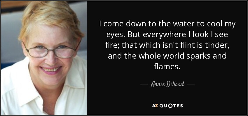 I come down to the water to cool my eyes. But everywhere I look I see fire; that which isn't flint is tinder, and the whole world sparks and flames. - Annie Dillard