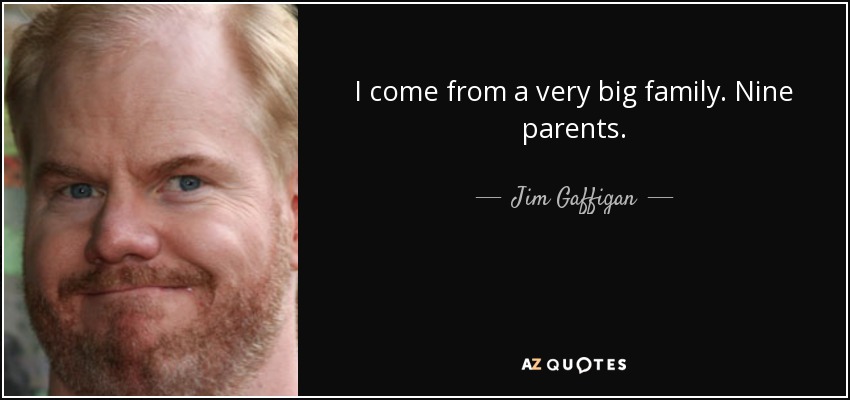 I come from a very big family. Nine parents. - Jim Gaffigan