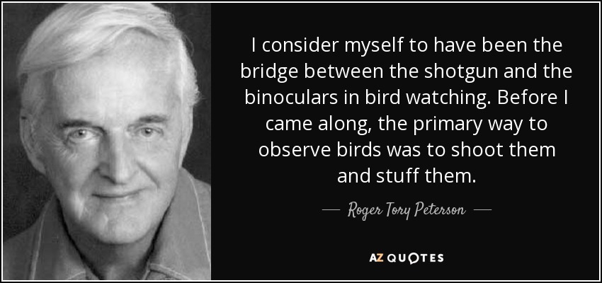 I consider myself to have been the bridge between the shotgun and the binoculars in bird watching. Before I came along, the primary way to observe birds was to shoot them and stuff them. - Roger Tory Peterson