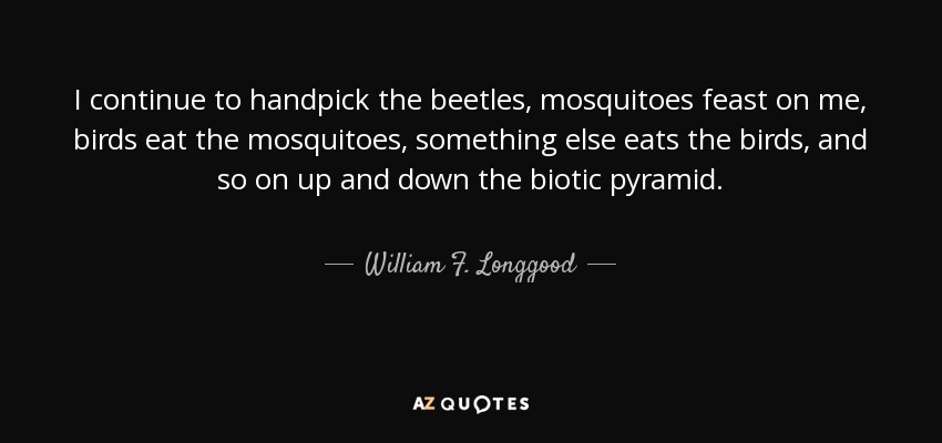 I continue to handpick the beetles, mosquitoes feast on me, birds eat the mosquitoes, something else eats the birds, and so on up and down the biotic pyramid. - William F. Longgood