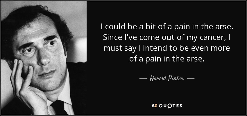 I could be a bit of a pain in the arse. Since I've come out of my cancer, I must say I intend to be even more of a pain in the arse. - Harold Pinter