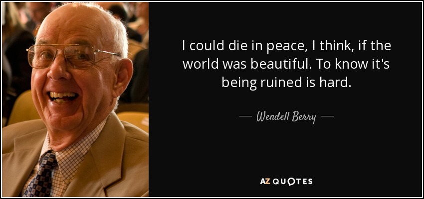 I could die in peace, I think, if the world was beautiful. To know it's being ruined is hard. - Wendell Berry