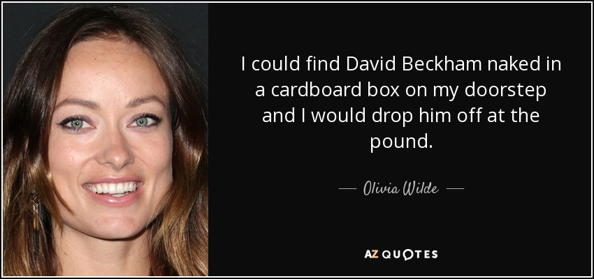 I could find David Beckham naked in a cardboard box on my doorstep and I would drop him off at the pound. - Olivia Wilde