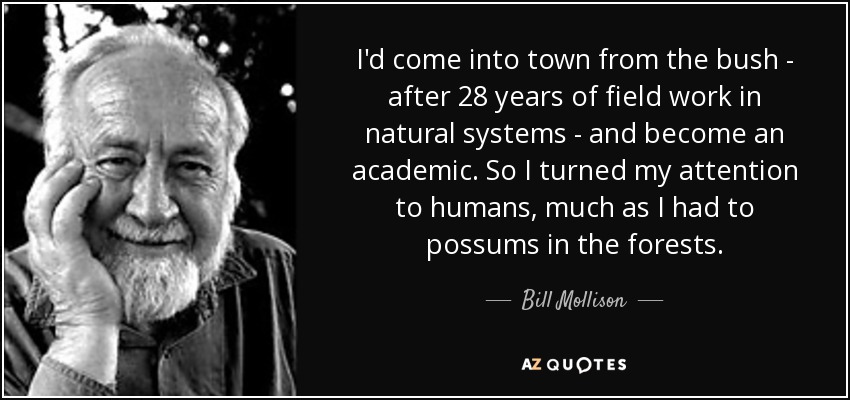 I'd come into town from the bush - after 28 years of field work in natural systems - and become an academic. So I turned my attention to humans, much as I had to possums in the forests. - Bill Mollison