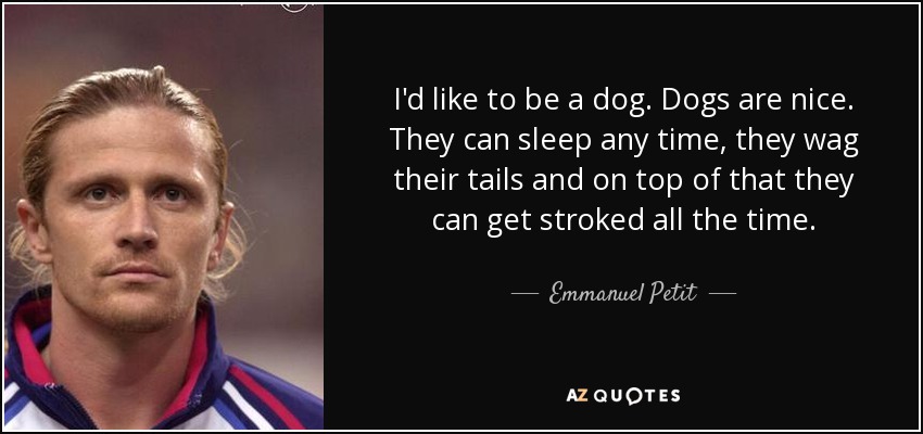 I'd like to be a dog. Dogs are nice. They can sleep any time, they wag their tails and on top of that they can get stroked all the time. - Emmanuel Petit