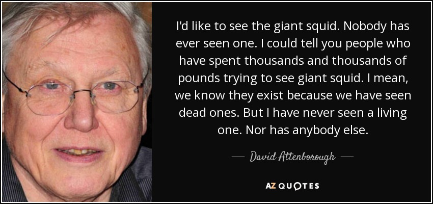 I'd like to see the giant squid. Nobody has ever seen one. I could tell you people who have spent thousands and thousands of pounds trying to see giant squid. I mean, we know they exist because we have seen dead ones. But I have never seen a living one. Nor has anybody else. - David Attenborough