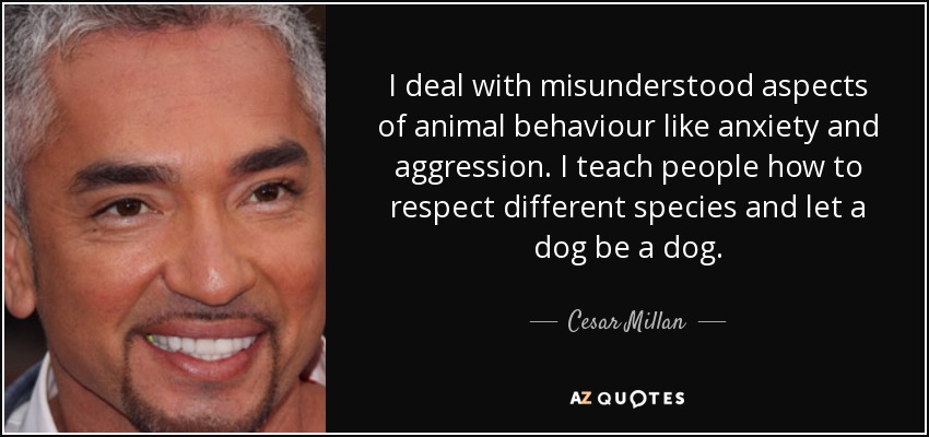 I deal with misunderstood aspects of animal behaviour like anxiety and aggression. I teach people how to respect different species and let a dog be a dog. - Cesar Millan