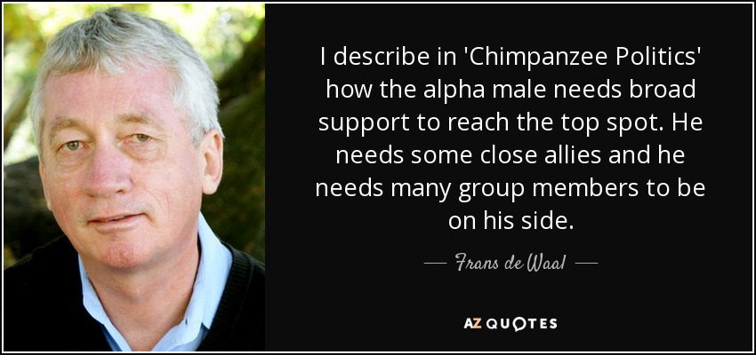I describe in 'Chimpanzee Politics' how the alpha male needs broad support to reach the top spot. He needs some close allies and he needs many group members to be on his side. - Frans de Waal