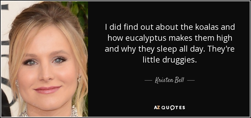 I did find out about the koalas and how eucalyptus makes them high and why they sleep all day. They're little druggies. - Kristen Bell