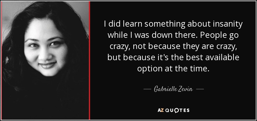I did learn something about insanity while I was down there. People go crazy, not because they are crazy, but because it's the best available option at the time. - Gabrielle Zevin