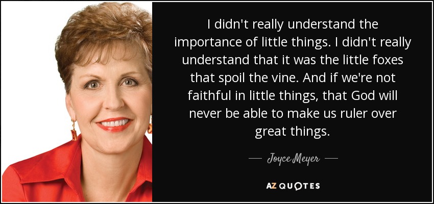 I didn't really understand the importance of little things. I didn't really understand that it was the little foxes that spoil the vine. And if we're not faithful in little things, that God will never be able to make us ruler over great things. - Joyce Meyer