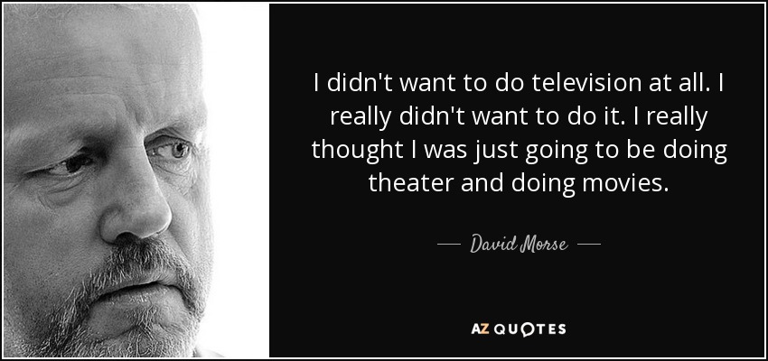 I didn't want to do television at all. I really didn't want to do it. I really thought I was just going to be doing theater and doing movies. - David Morse
